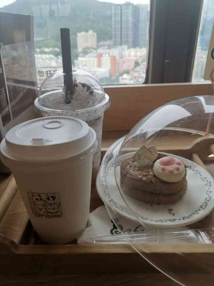 猫小主咖啡61猫咖cat cafe(福田店)-"第一次去猫咖 真的是很期待又