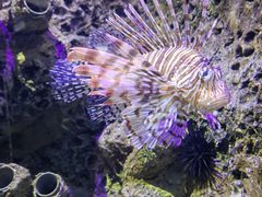 -太平洋海底世界