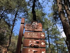 -四明山国家森林公园
