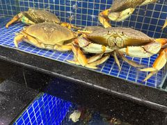-明记海鲜大排档(巽寮湾店)