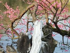 -杭州植物园