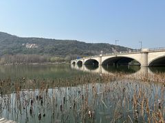 -长广溪湿地公园