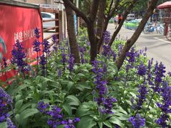 -沪东工人文化宫