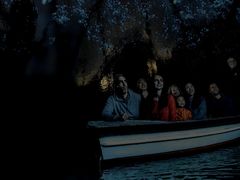 -怀托摩萤火虫洞