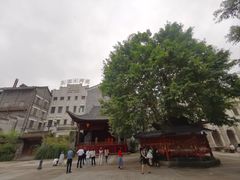 -两江国际影视城