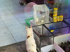 -双季花艺园艺市场(浦东店)