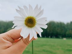 -合肥滨湖国家森林公园