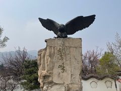 -北京鹫峰国家森林公园
