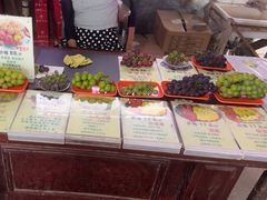 -马陆小张葡萄园农家乐