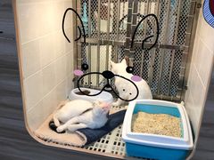 -1013 PET SHOP 宠物商店(近铁城市广场店)
