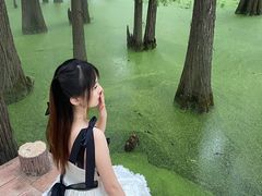 -东湖落雁景区