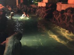 -汉拿山温泉度假酒店