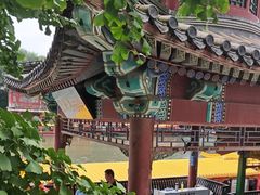 -皇家御河游(紫御湾码头)