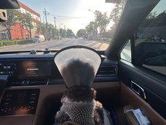 -瑞鹏宠物医院·爱宠堂(环西分院)