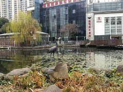 -苏州河梦清园环保主题公园