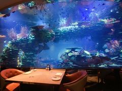 -迪拜帆船酒店海底餐厅