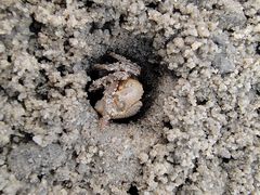 -北海金海湾红树林生态旅游区