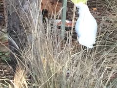 -费瑟代尔野生动物园