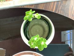 -君悦酒店·大堂酒吧·高空下午茶·暮色微醺