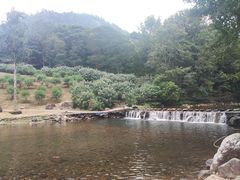 -广州市石门国家森林公园