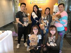 -PETKIT小佩宠物(古北店)