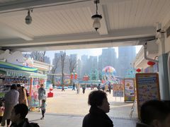 -海合安成都极地海洋公园