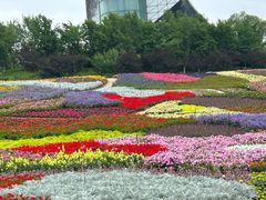 -沈阳植物园