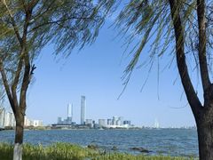 -金鸡湖景区
