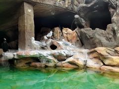 -长鹿旅游休博园