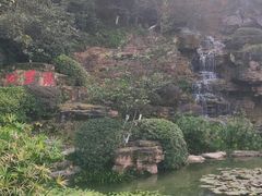 -铁山坪森林公园