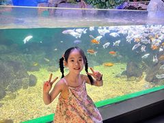 -常州海昌海洋探索馆