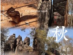 -汤旺河林海奇石景区