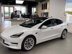 -TESLA 特斯拉(郑州正弘城体验店)