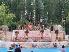 -武汉玛雅海滩水公园