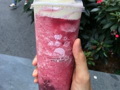 多肉杨梅-喜茶(深圳海岸城店)