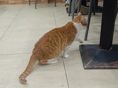 -珊珊小笼馆(仙霞路店)