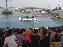 -秦皇岛乐岛海洋王国