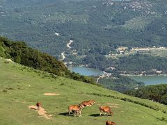 -大姆山草场