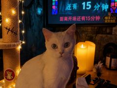 -瞳·实景密室逃脱(护国店)