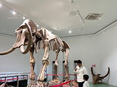 -南通洲际绿博园