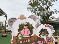 -田园东方蜜桃村的田野营地