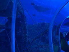 -长隆横琴湾酒店(珠海旗舰店)