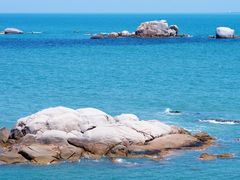 -广东惠东海龟国家级自然保护区