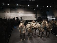 -秦始皇帝陵博物院-丽山园