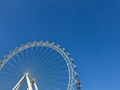 -日照海滨国家森林公园