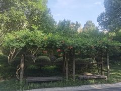 -青枫公园