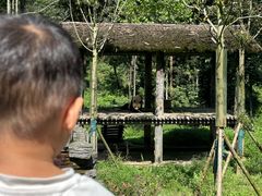 -中国大熊猫保护研究中心雅安碧峰峡基地