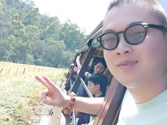 -普芬比利蒸汽火车