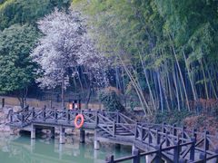 -宝岩生态观光园