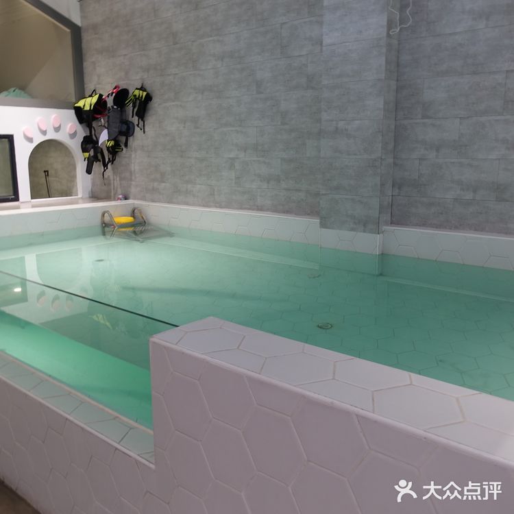 七宝附近一家玩乐美容一应俱全宠物酒店